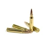 5 56  45 NATO 75gr  BTHP 2 700 FPS  16 in  
