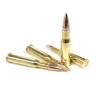 7 62 x 54mmR 174gr  FMJBT
