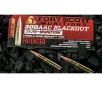 Fort Scott 300blk 190gr Subsonic TUI AAC Blackout 20rd