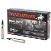 Win Blstc Tip 243win 95gr 20 200