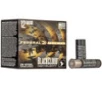 Fed Blk Cloud 12ga 3  Bb Hv 25 250