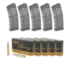 Lancer L5AWM AR-15  223 5 56 30 Round Magazine  5 Pack    100 Rounds of PMC Bronze  223 Remington FMJ 55gr Ammo
