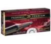 Premium Nosler Partition 180 gr 300 Winchester Magnum Rifle Ammo - 20 Round Box