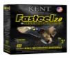 Fasteel 2 0  3 3  20 Gauge Shotgun Ammo - 25 Round Box