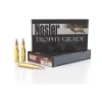 Trophy Grade Long Range AccuBond 168 gr 308 Winchester Rifle Ammo - 20 Round Box