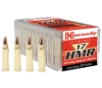 Varmint Express Hornady XTP Hollow Point 20 gr 17 HMR Rimfire Ammo - 50 Round Box