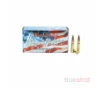 Hornady - American Gunner - 300 Blackout - 125 Grain - HP - Retail   500