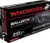 Winchester Ammo SBST243 Ballistic Silvertip  243Win 55gr Fragmenting Polymer Tip 20 Per Box 10 Case