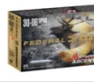 Federal P3006TA1 Premium Terminal Ascent 30-06Springfield 175gr 20 Per Box 10 Case