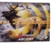 Federal P300WSMTA1 Premium  300 WSM 200 gr Terminal Ascent 20 Bx  10 Cs