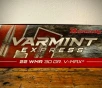 Hornady Varmint Express V-MAX 22 Magnum Ammo  WMR  30gr