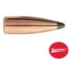 Sierra Hornet Varminter Rifle Bullets .22 cal .223" 45 gr HRNT 100/ct