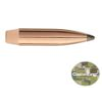 Sierra GameKing Rifle Bullets 6mm .243" 100 gr SBT 100/ct