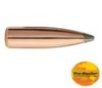 Sierra Pro-Hunter Rifle Bullets 8mm .323" 175 gr SPT 100/ct
