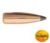 Sierra Pro-Hunter Rifle Bullets 8mm .323" 150 gr SPT 100/ct