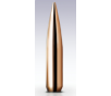 Nosler 308 Caliber (.308) 155gr Custom Competition Hollow Point BT Bullets 100ct - 53155